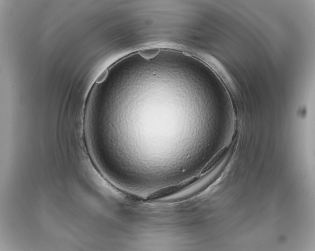 X0000091921244200709121532