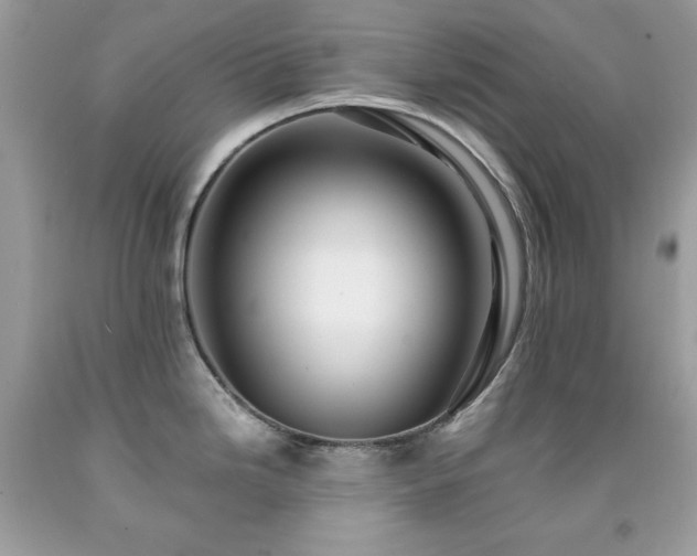 X0000091921246200709121532