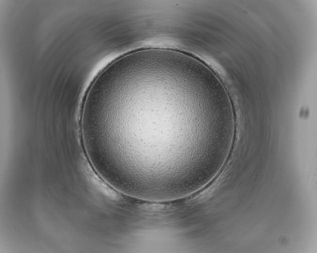 X0000091921248200709121532