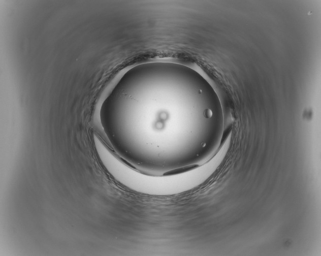 X0000091921249200709121531