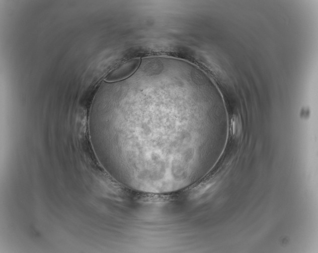 X0000091921251200709121531