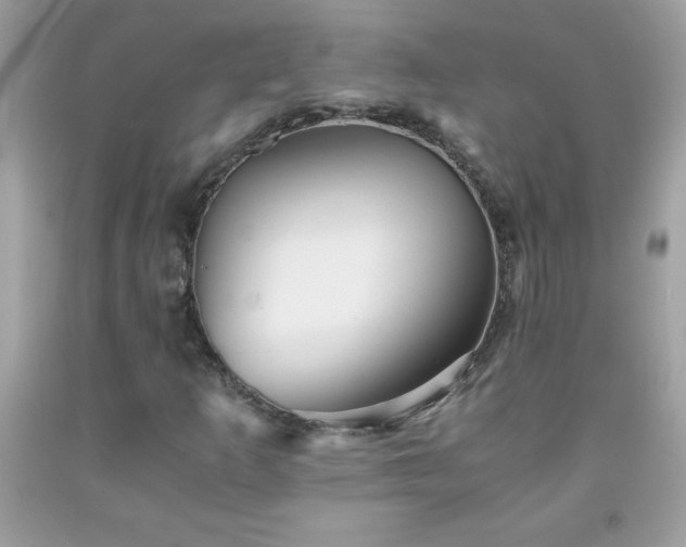 X0000091921253200709121531