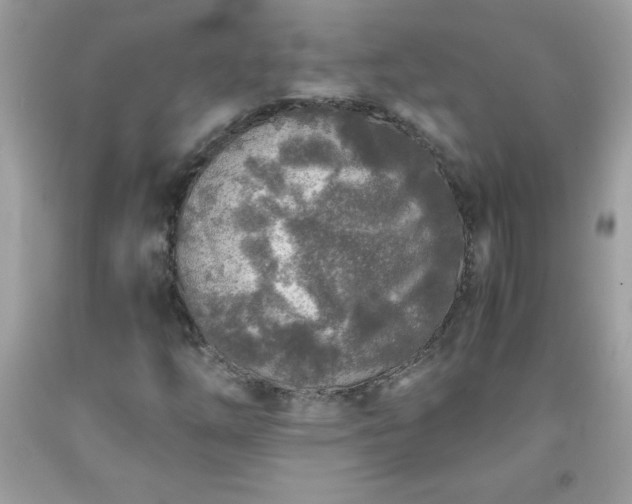 X0000091921254200709121531
