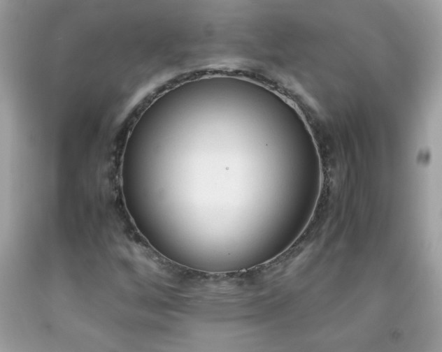 X0000091921256200709121531