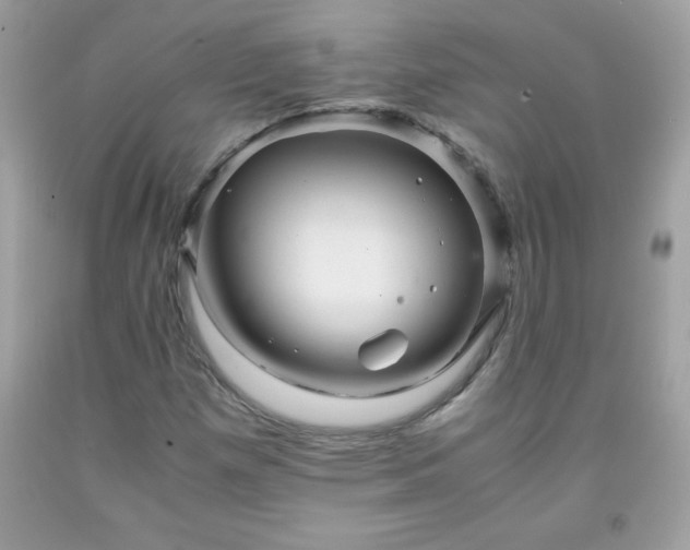 X0000091921257200709121531