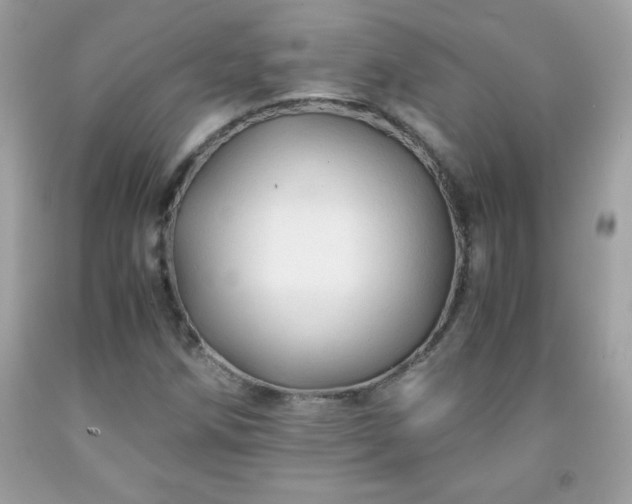 X0000091921258200709121531