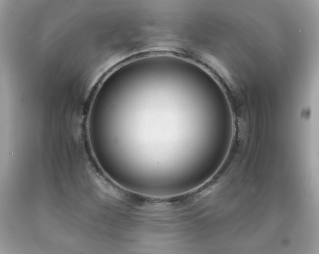 X0000091921260200709121531