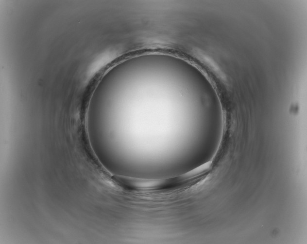 X0000091921261200709121531