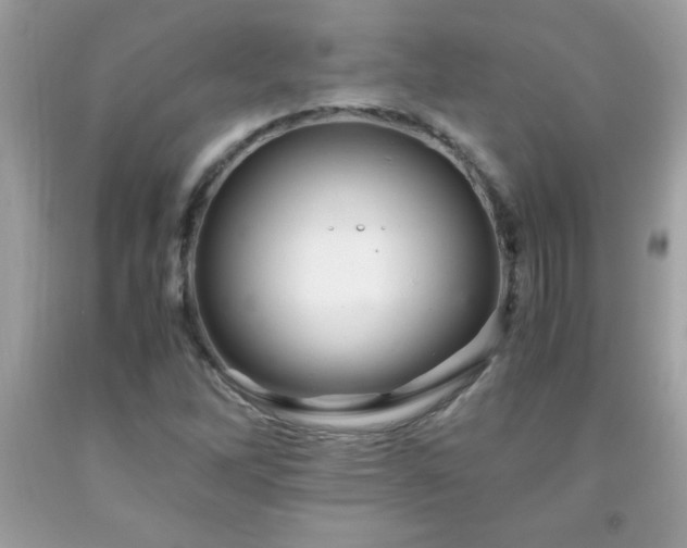 X0000091921262200709121531