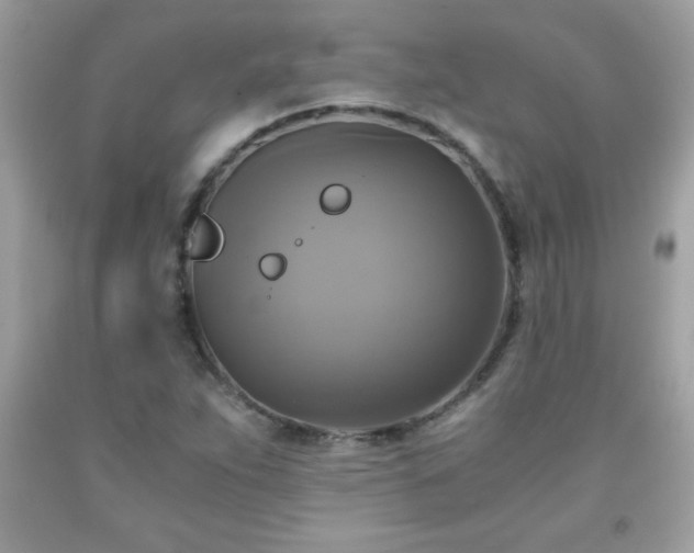 X0000091921263200709121531