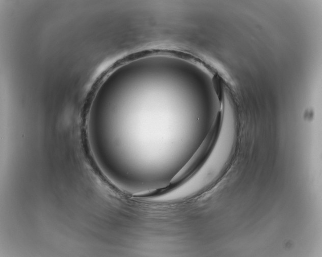 X0000091921264200709121531