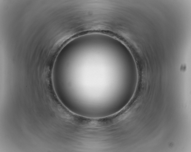 X0000091921265200709121531