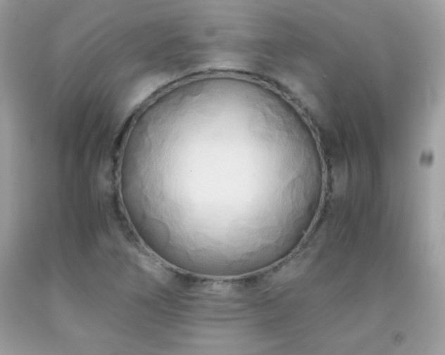 X0000091921266200709121531