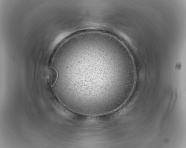 X0000091921267200709121531