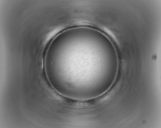 X0000091921269200709121531