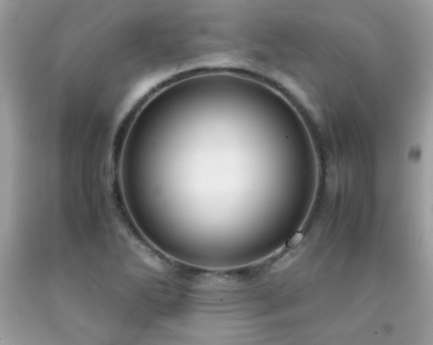 X0000091921270200709121531