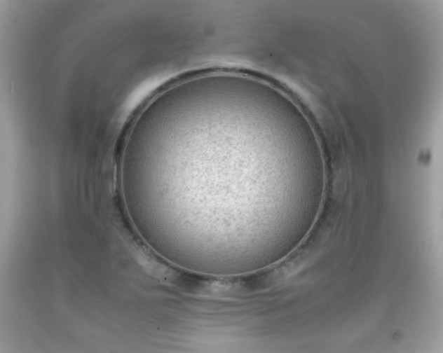 X0000091921271200709121531