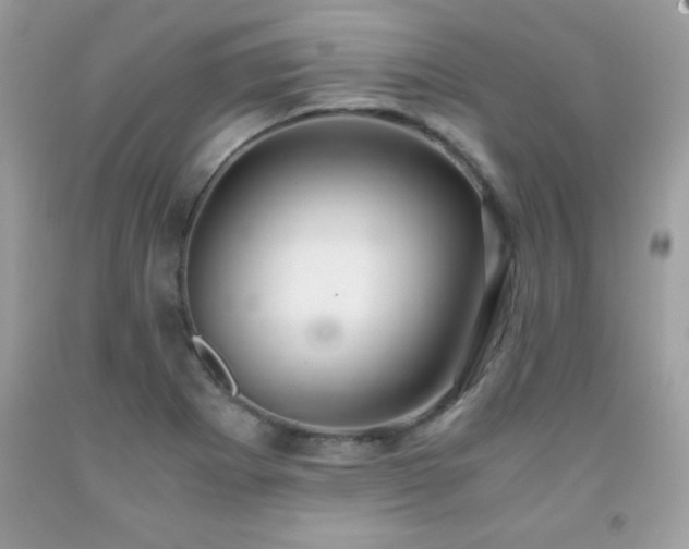 X0000091921273200709121531
