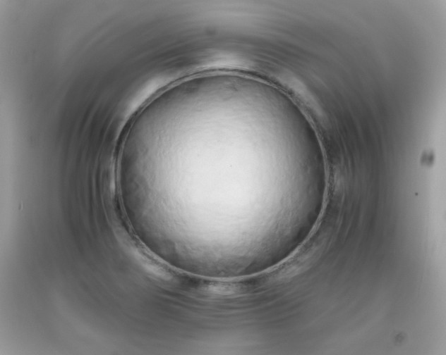 X0000091921274200709121531