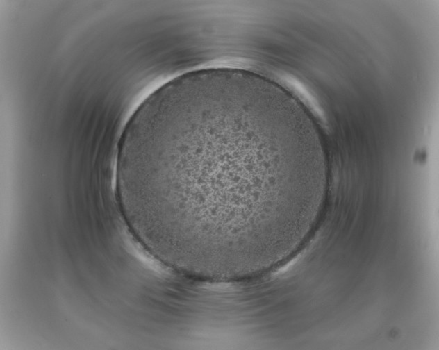 X0000091921276200709121531