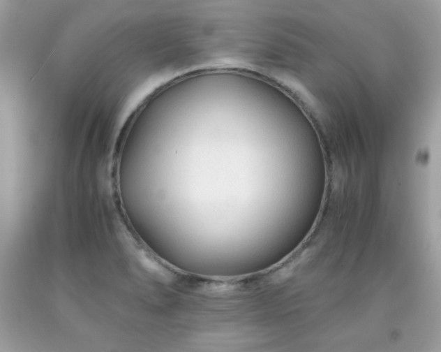 X0000091921278200709121531