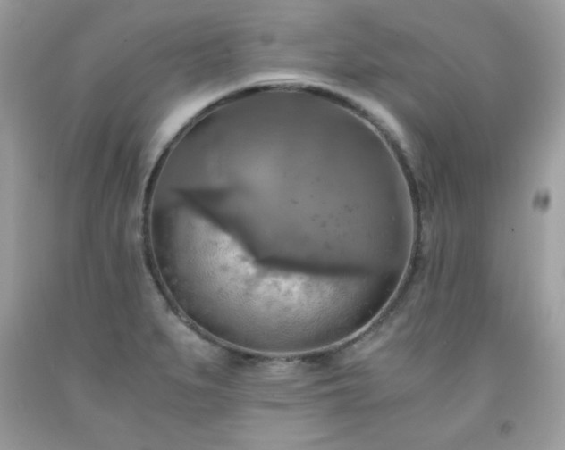 X0000091921279200709121531