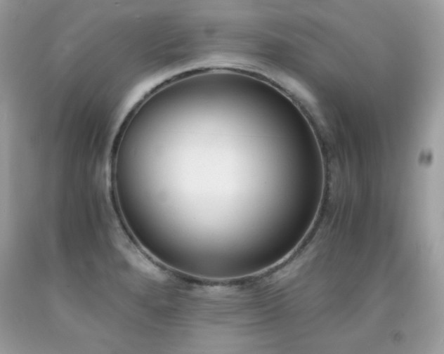 X0000091921280200709121531