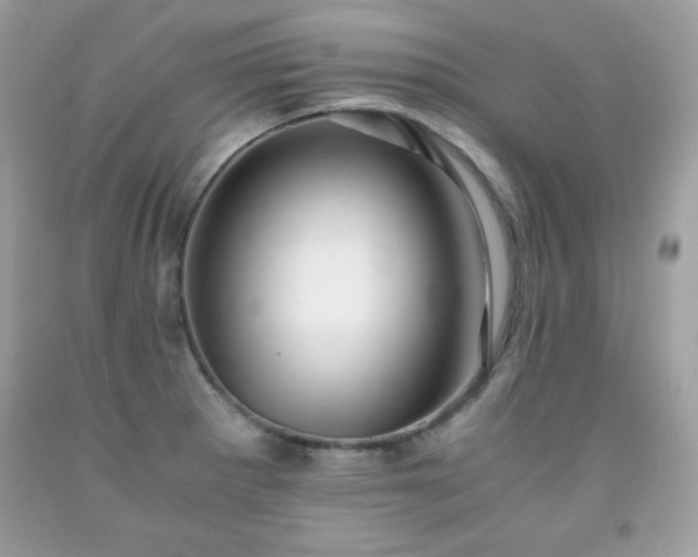 X0000091921281200709121531