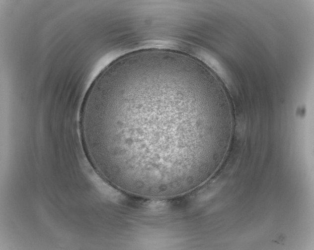 X0000091921283200709121531