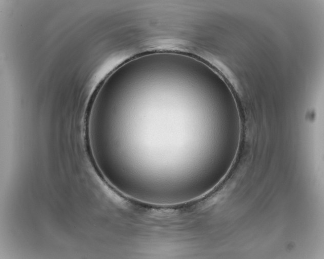 X0000091921285200709121531