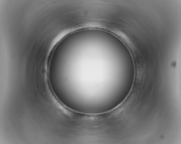 X0000091921286200709121531