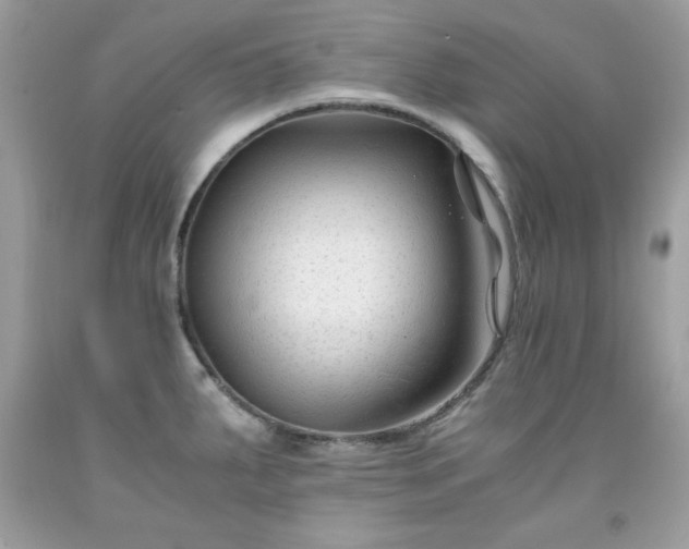 X0000091921287200709121531