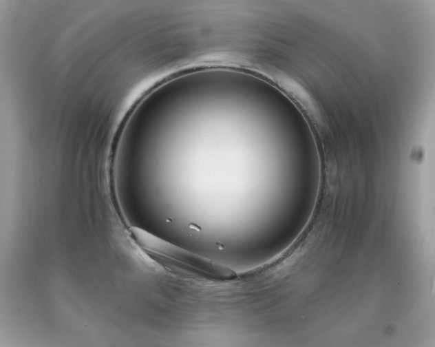 X0000091921288200709121531