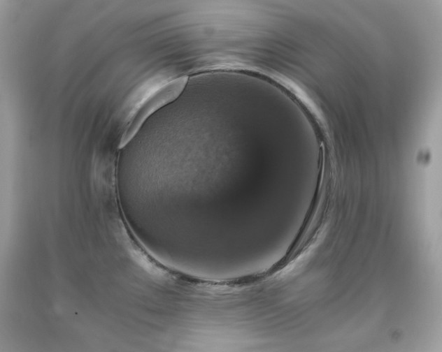 X0000091921289200709121531