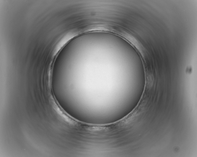 X0000091921290200709121531