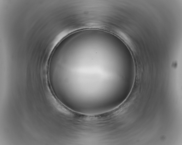 X0000091921291200709121531