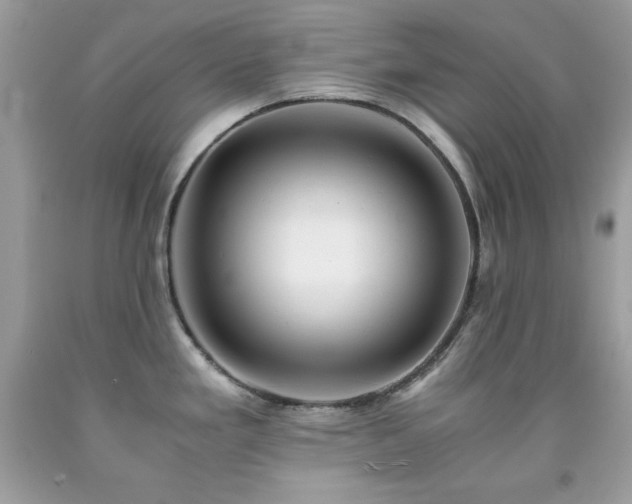 X0000091921293200709121531