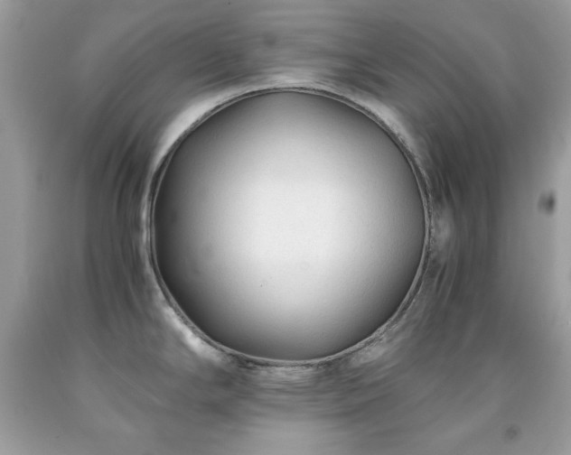 X0000091921294200709121531