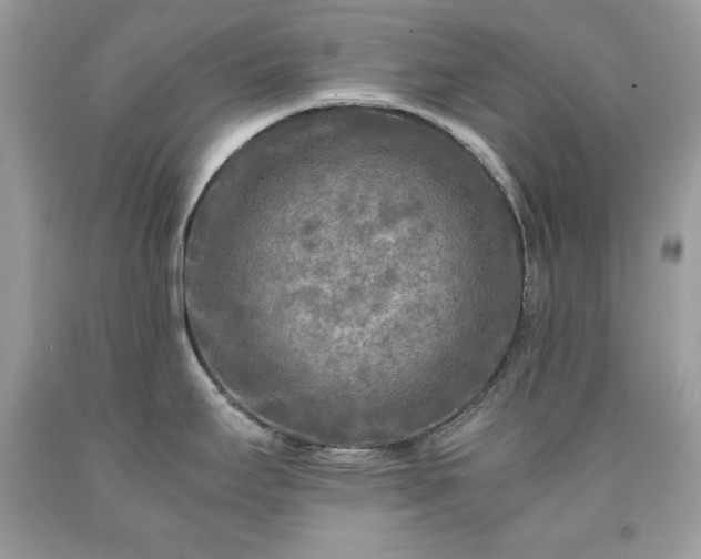 X0000091921295200709121531