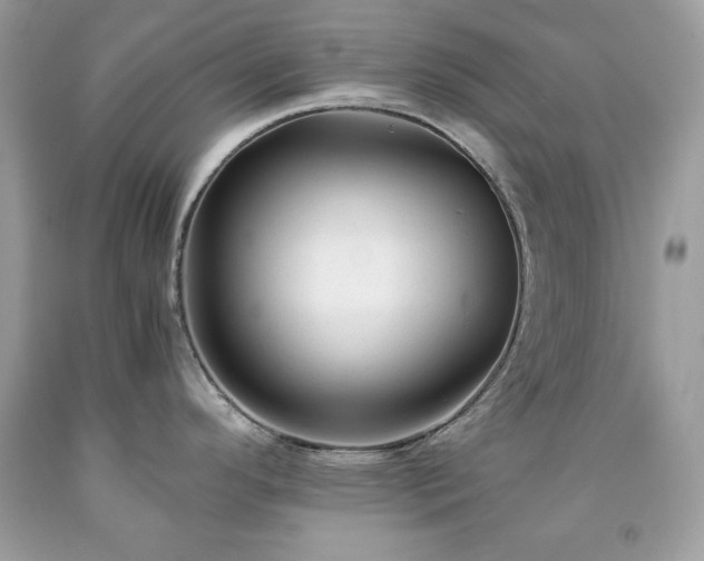 X0000091921296200709121531