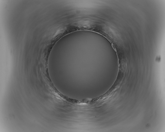 X0000091921297200709121530