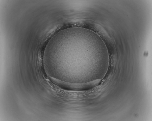 X0000091921298200709121530