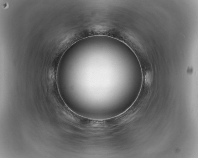 X0000091921299200709121530