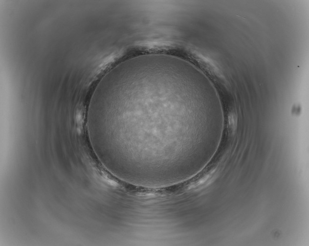 X0000091921300200709121530