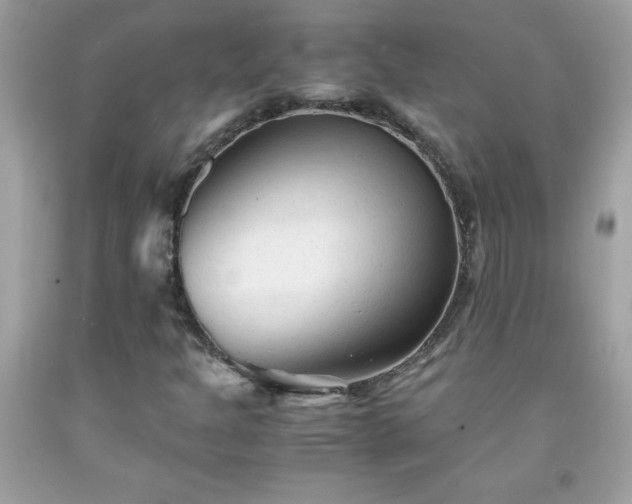 X0000091921301200709121530