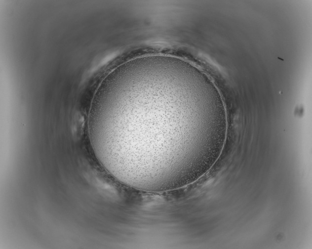 X0000091921302200709121530