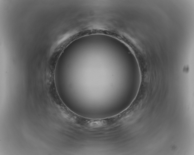 X0000091921303200709121530