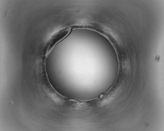 X0000091921304200709121530