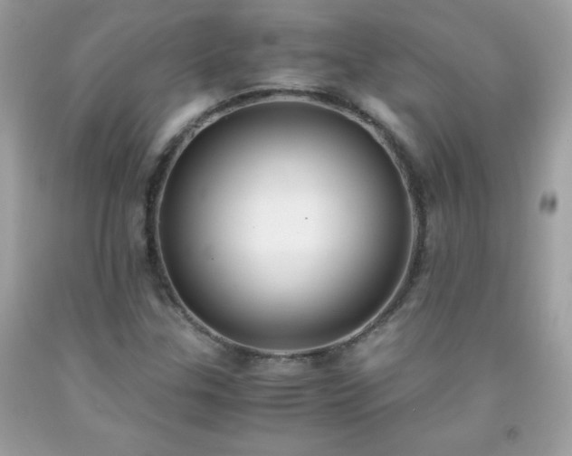 X0000091921307200709121530