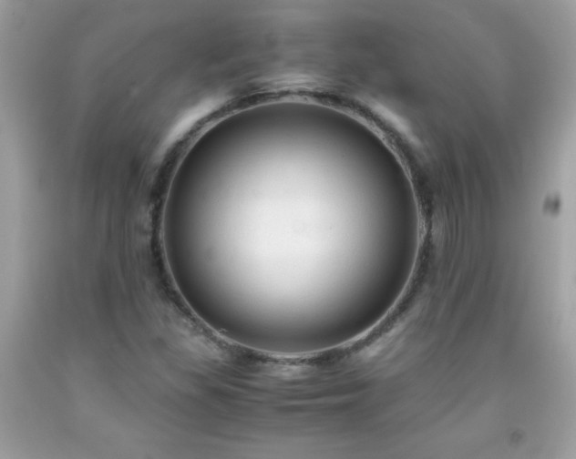 X0000091921309200709121530